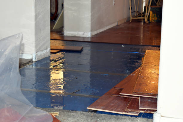 Professional Burst Pipe Cleanup technician working in Shelton, NE